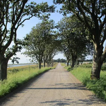 8 Person In Bogense-by Traum Holiday home Bogense