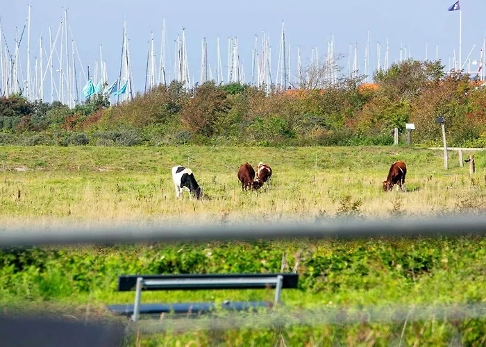 8 Person In Bogense-by Traum *