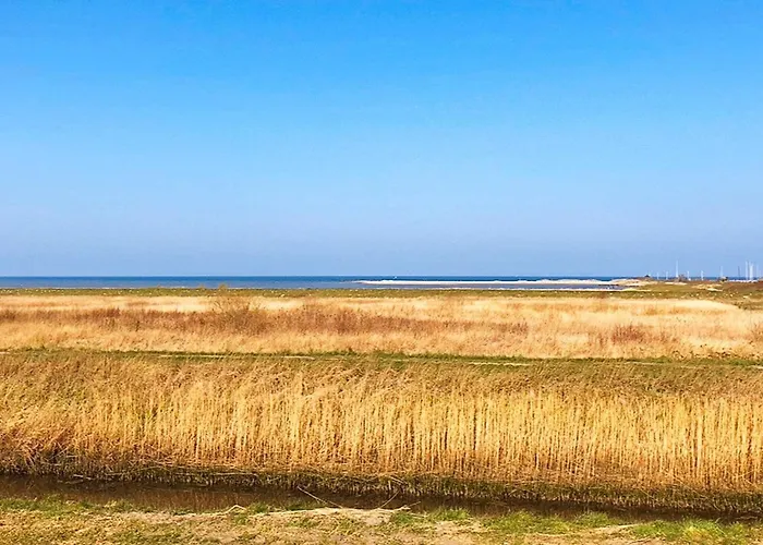 בית נופש 8 Person In Bogense-by Traum *