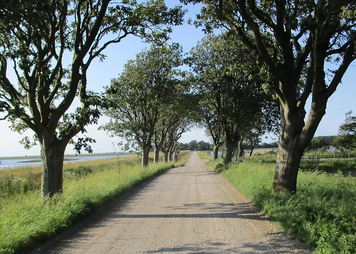 8 Person In Bogense-by Traum בית נופש בוגנזה